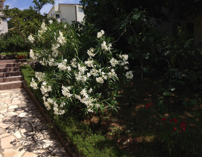 Villa Kamik in Kostrena & Apartment Ana in Omi&scaron;alj on Krk, Croatia Omi&scaron;alj